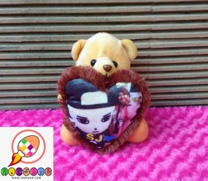 Jual Paket Boneka Teddy Bear Lengkap Dengan Bantal Foto